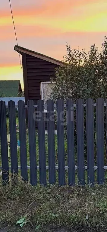 Дом в Новосибирская область, Коченевский район, Чернобылец СНТ  (18 м) - Фото 2