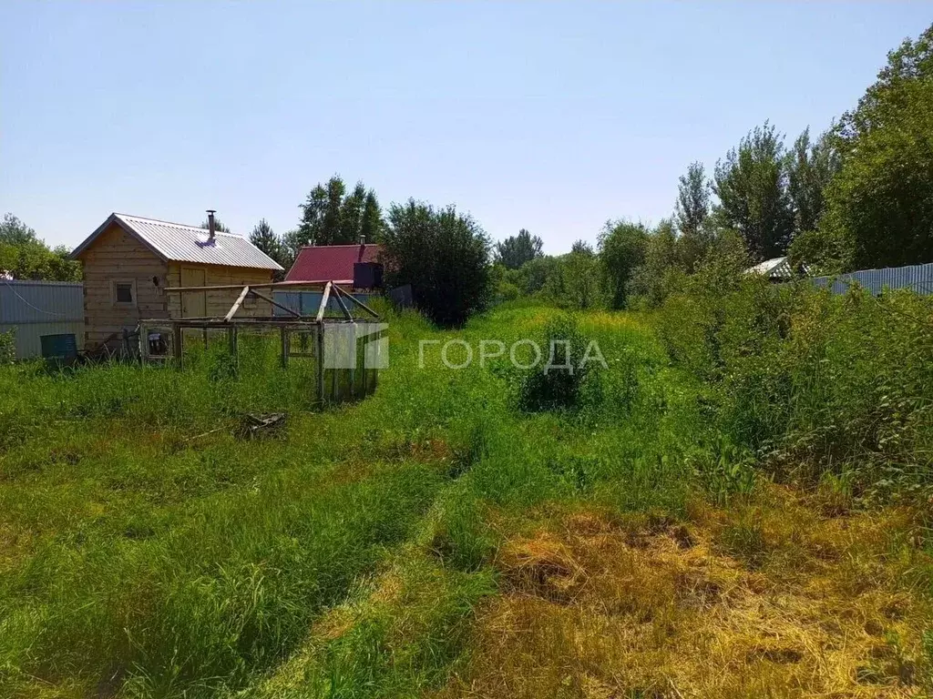 Участок в Новосибирская область, Новосибирский район, Кудряшовский ... - Фото 1
