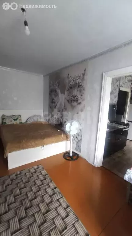 1-комнатная квартира: Прокопьевск, улица Шишкина, 23А (30 м) - Фото 1
