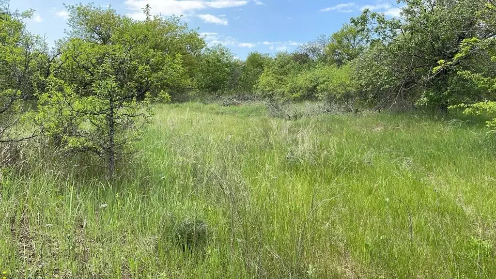 Дом в Белгородская область, Белгородский район, Беломестненское с/пос, ... - Фото 2