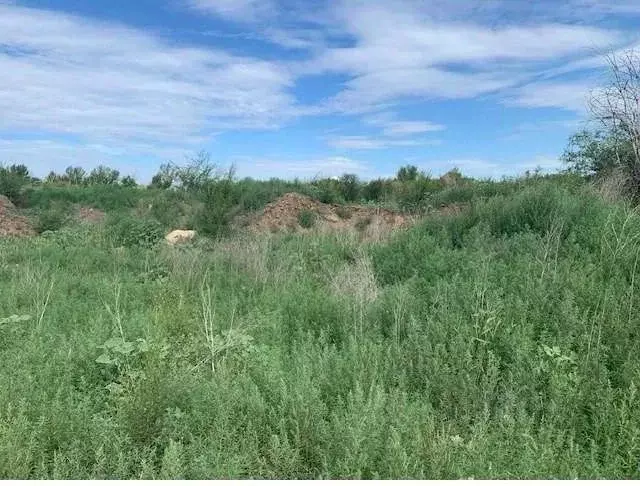 Производственное помещение в Самарская область, Волжский район, ... - Фото 0