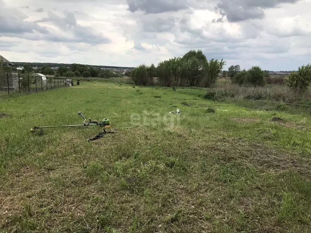 Участок в Белгородская область, Белгородский район, Беловское с/пос, ... - Фото 0