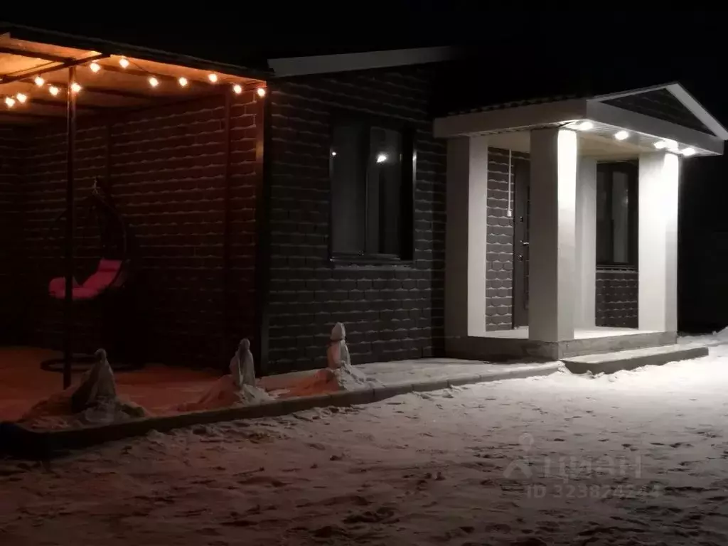 Дом в Амурская область, Благовещенский район, с. Чигири ул. ... - Фото 2