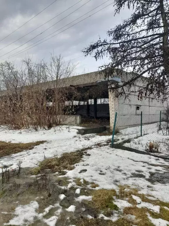 Помещение свободного назначения в Челябинская область, Октябрьский ... - Фото 1