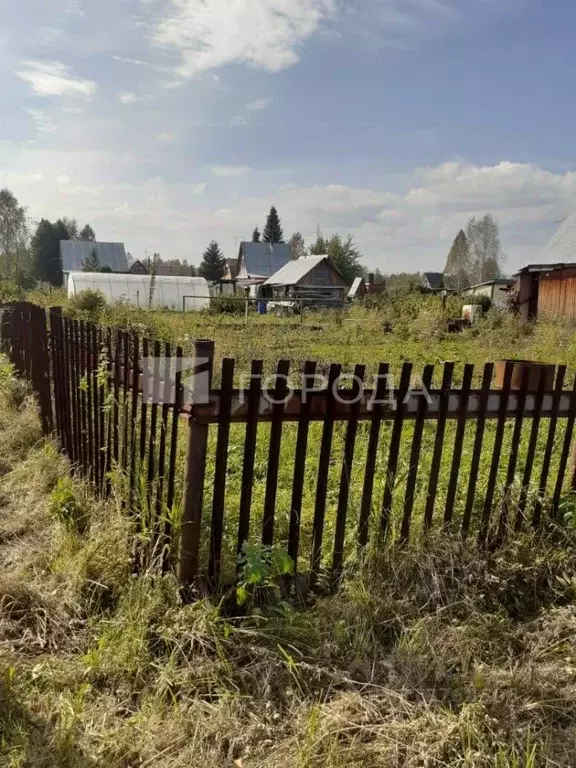 Участок в Кемеровская область, Новокузнецкий муниципальный округ, ... - Фото 0