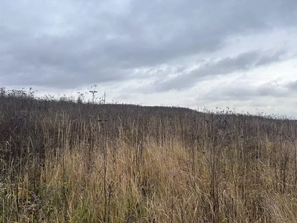 Участок в Московская область, Воскресенск городской округ, д. ... - Фото 1