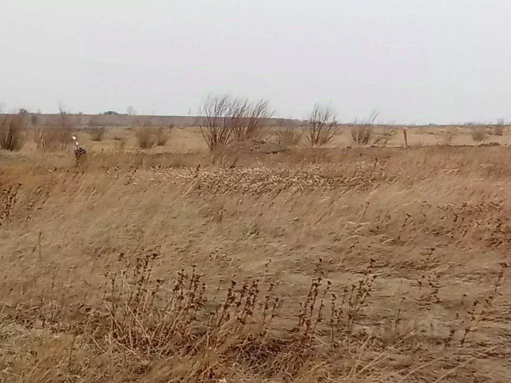 Участок в Забайкальский край, Чита Кенон ДНТ, 1090 (10.0 сот.) - Фото 1