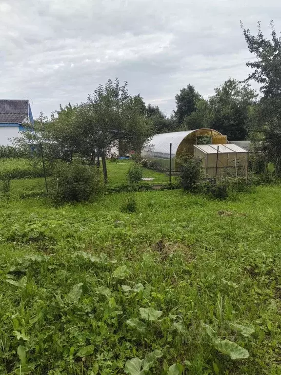 Участок в Псковская область, Новосокольники ул. Красина, 10 (13.6 ... - Фото 1