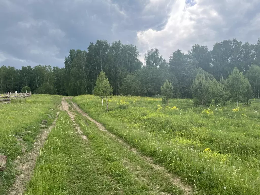 Участок в Челябинская область, Кусинский муниципальный округ, д. ... - Фото 2