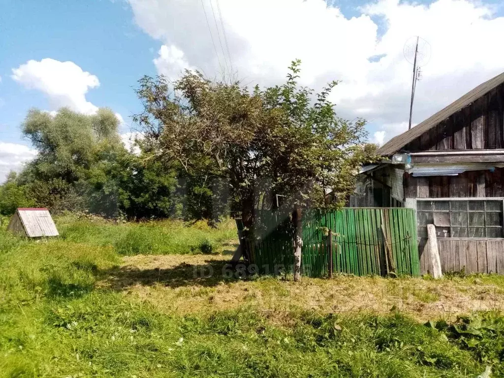 Березовка калужская область малоярославецкий. Березовка калужская область малоярославецкий. Деревня березовка. Деревня березовка. Лисенки калужская область.