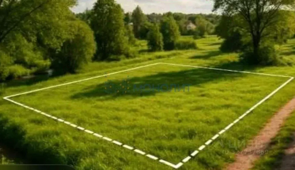 Участок в Нижегородская область, Нижний Новгород д. Афонино, ул. ... - Фото 1