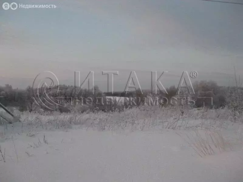 Участок в Алёховщинское сельское поселение, садоводческое ... - Фото 1