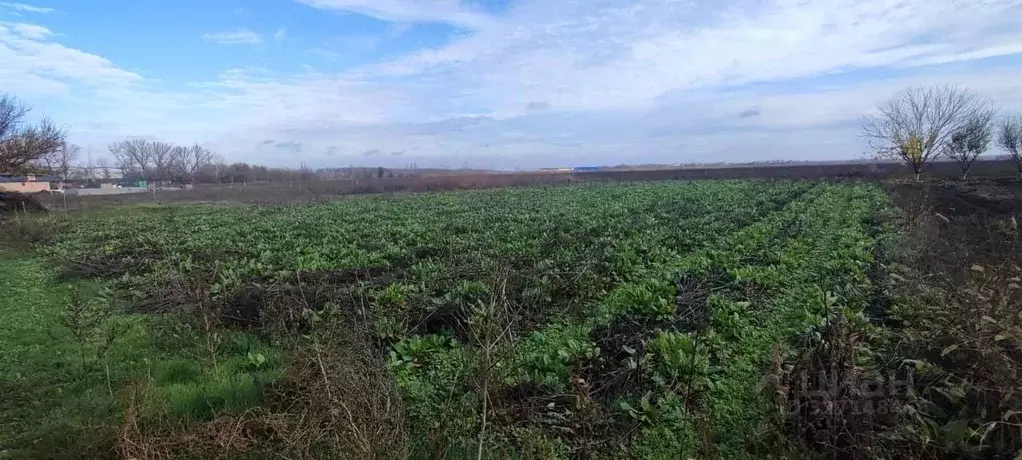 Участок в Ростовская область, Аксайский район, Ленина хут. ул. 60 лет ... - Фото 2