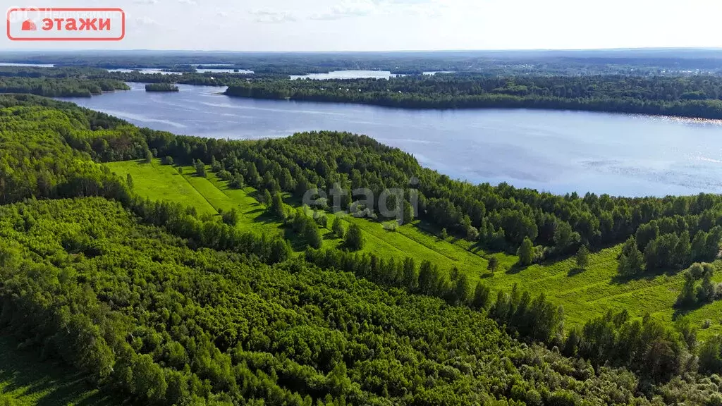Участок в Кондопожский район, Кончезерское сельское поселение, село ... - Фото 1