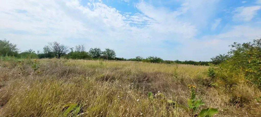 Участок в Краснодарский край, Северская ст-ца  (7.0 сот.) - Фото 2