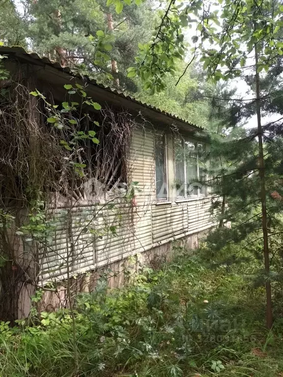 Участок в Московская область, Раменский муниципальный округ, Арена СНТ ... - Фото 2