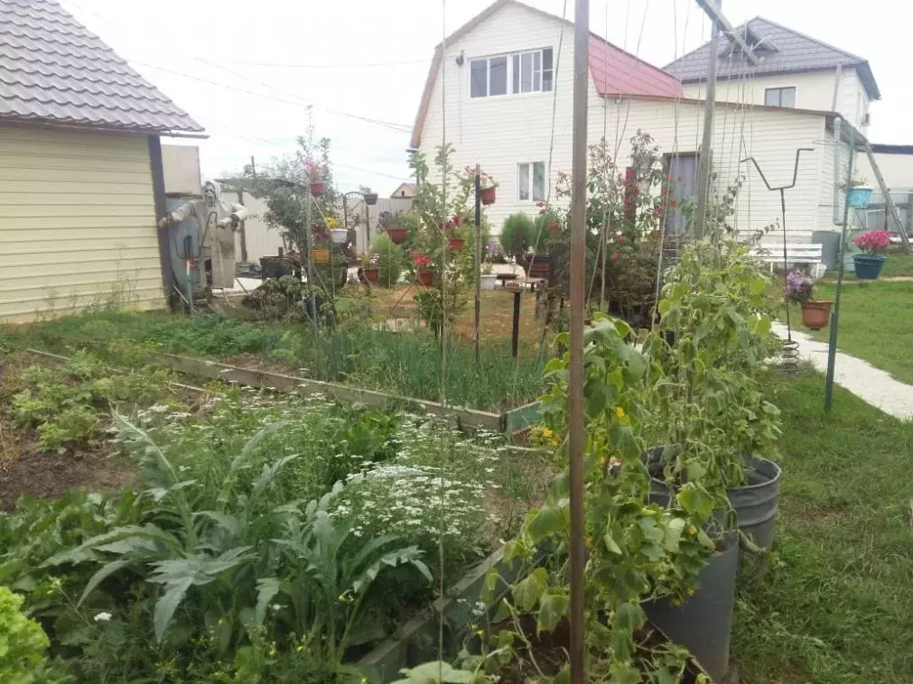 Дом, 71.8 м - Фото 1