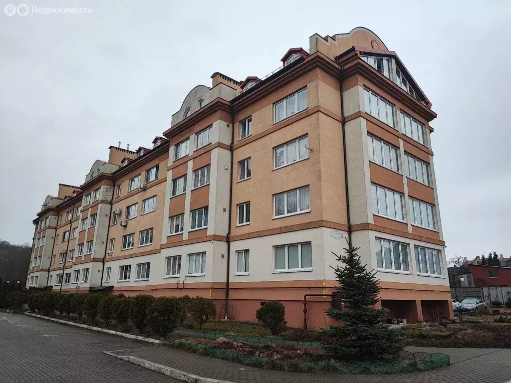 Помещение свободного назначения (25 м) - Фото 2