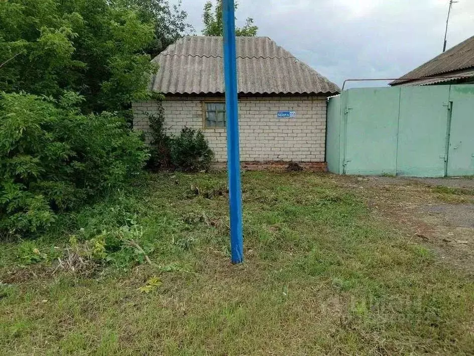 Дом в Белгородская область, Новооскольский муниципальный округ, ... - Фото 2