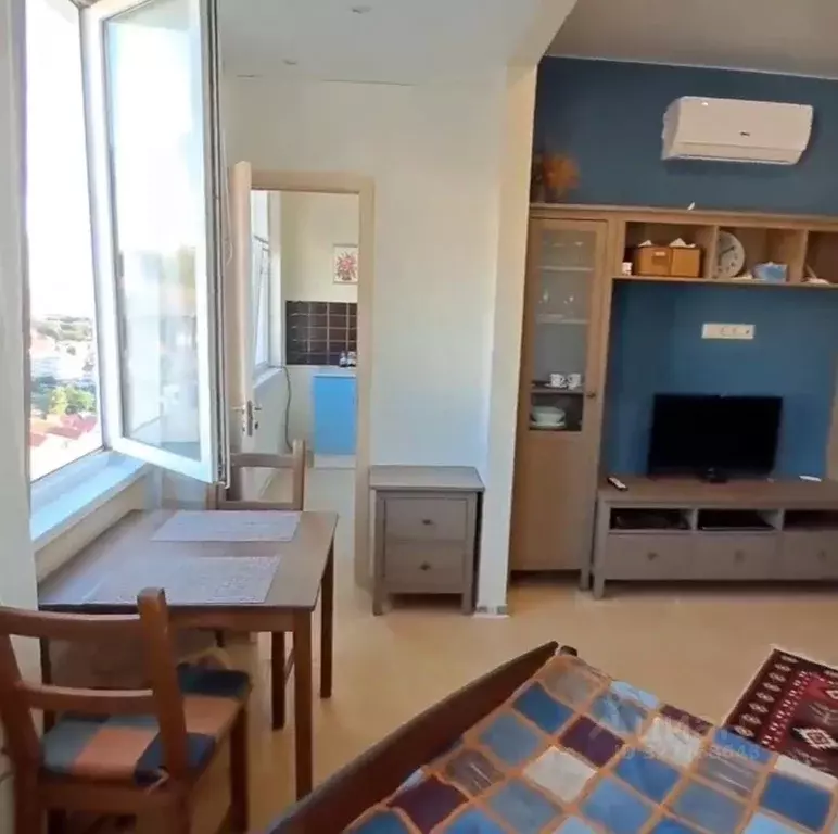 1-к кв. Краснодарский край, Сочи ул. Ленина, 288 (25.6 м) - Фото 2