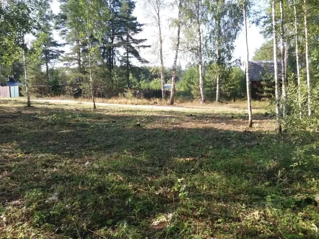 Участок в Ивановская область, Ивановский муниципальный округ, Самсон ... - Фото 1