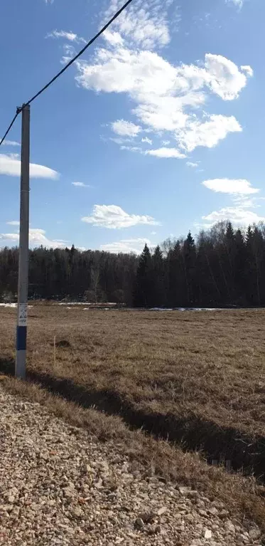 Участок в Московская область, Подольск городской округ, Пузиково кп 26 ... - Фото 1