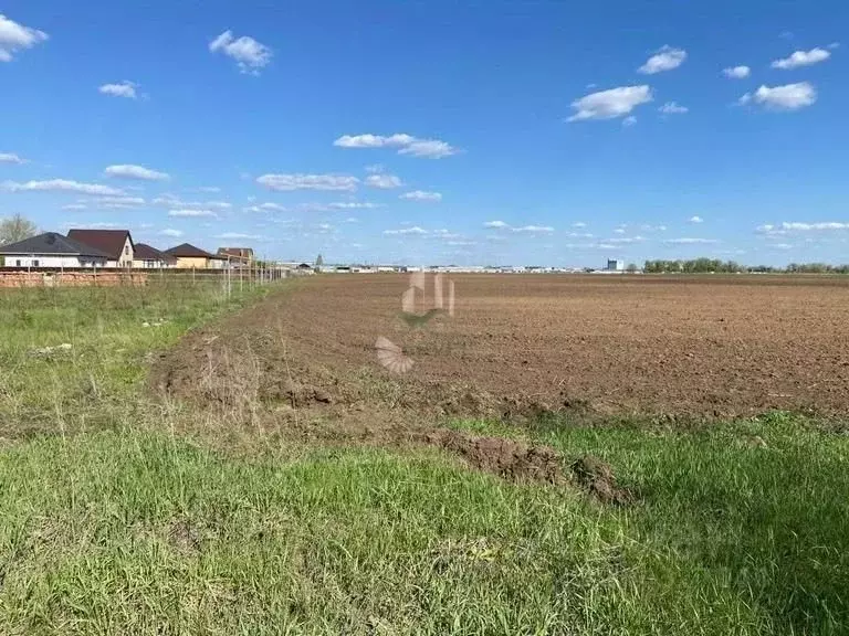 Участок в Саратовская область, Энгельсский район, Новопушкинское ... - Фото 0