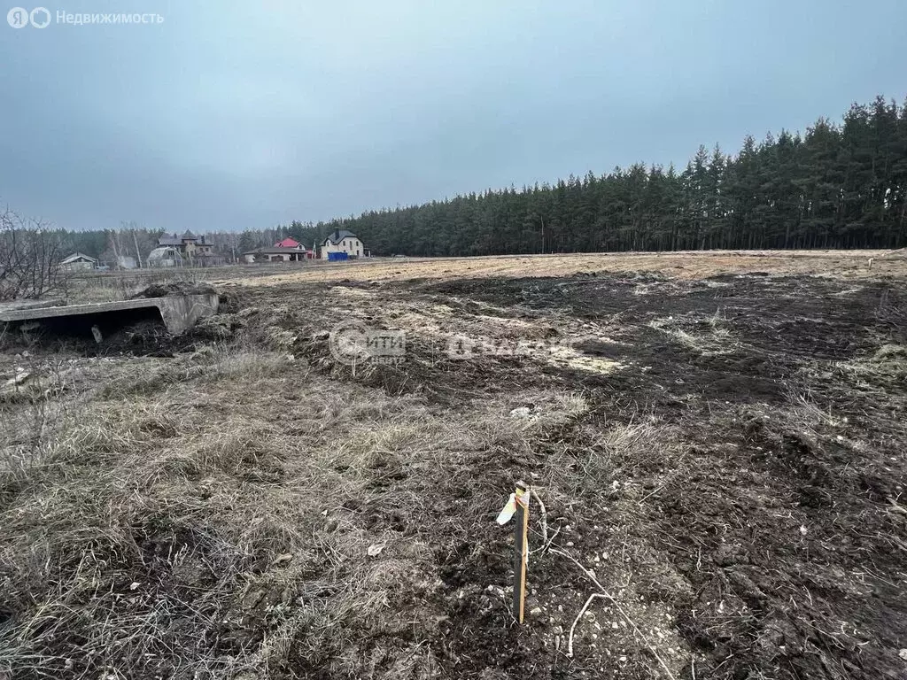 Участок в Воронеж, микрорайон Малышево, Ясногорская улица, 16 (8 м) - Фото 0