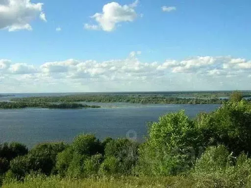 Участок в Нижегородская область, Воротынский городской округ, ... - Фото 0