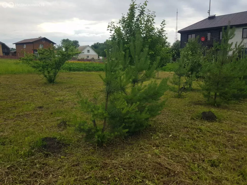 Участок в Орловский муниципальный округ, деревня Грачёвка, Полевая ... - Фото 1
