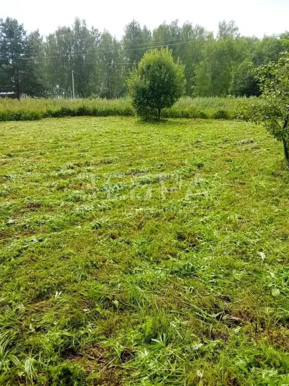 Дом в Владимирская область, Александровский муниципальный округ, ... - Фото 2