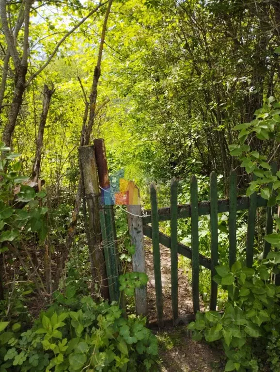 Участок в Тульская область, Тула Нижняя Волоховская ул. (6.0 сот.) - Фото 0