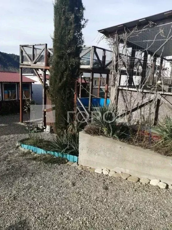 Участок в Краснодарский край, Геленджик городской округ, с. ... - Фото 1