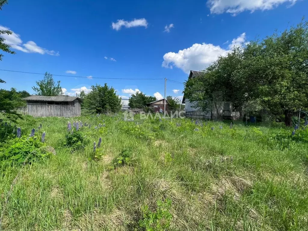 Участок 5,08 га (СНТ, ДНП) - Фото 1