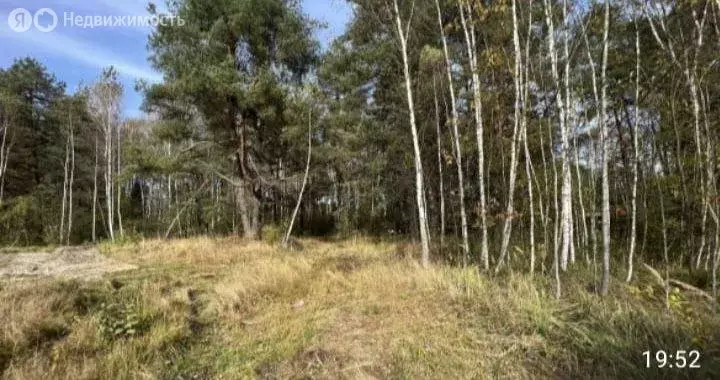 Участок в Игумново, 1-й Луговой проезд (9 м) - Фото 2