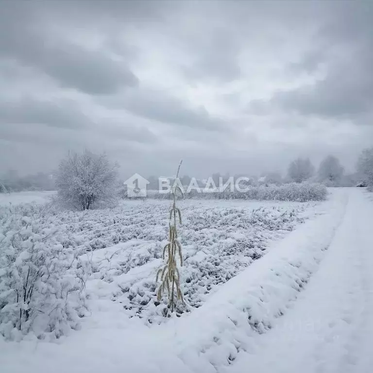 Участок в Брянская область, Брянский район, Добрунское с/пос, д. ... - Фото 2