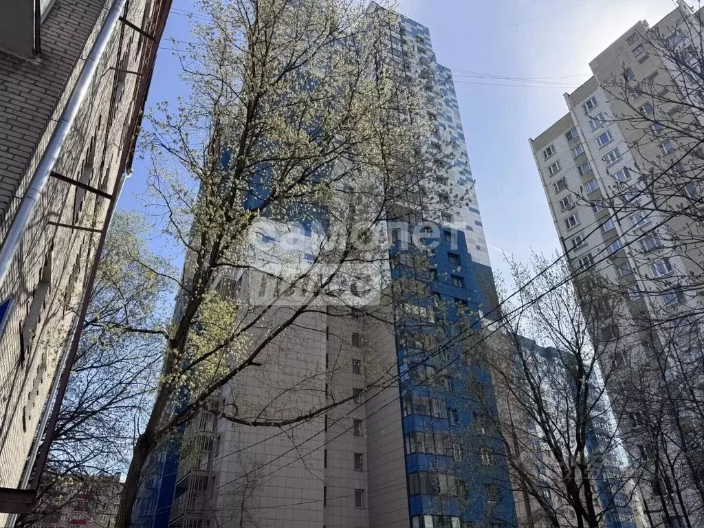 Комната Москва ул. Академика Скрябина, 6 (11.0 м) - Фото 1