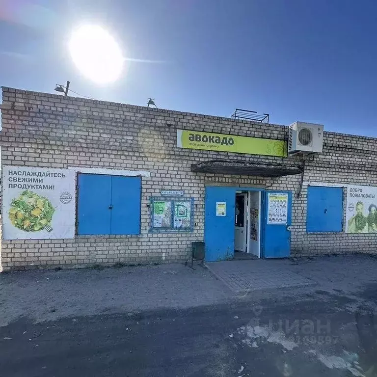 Помещение свободного назначения в Нижегородская область, Бор ул. ... - Фото 1