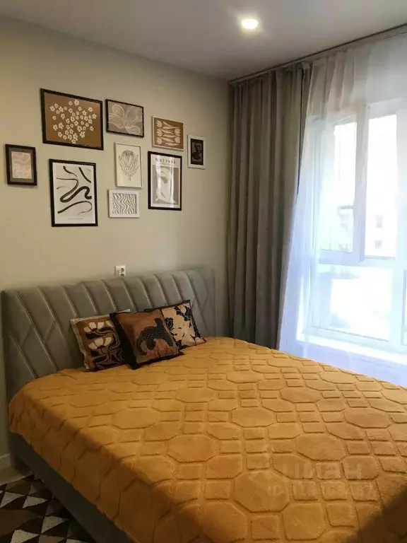 Студия Санкт-Петербург Московский просп., 71к3 (24.0 м) - Фото 1