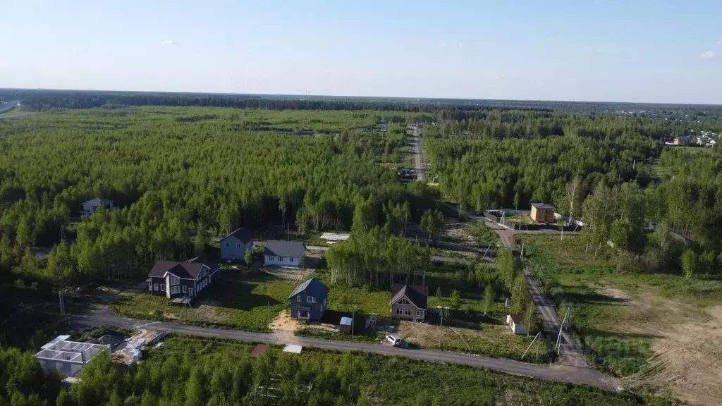 Участок в Московская область, Раменский муниципальный округ, Фенино ... - Фото 2
