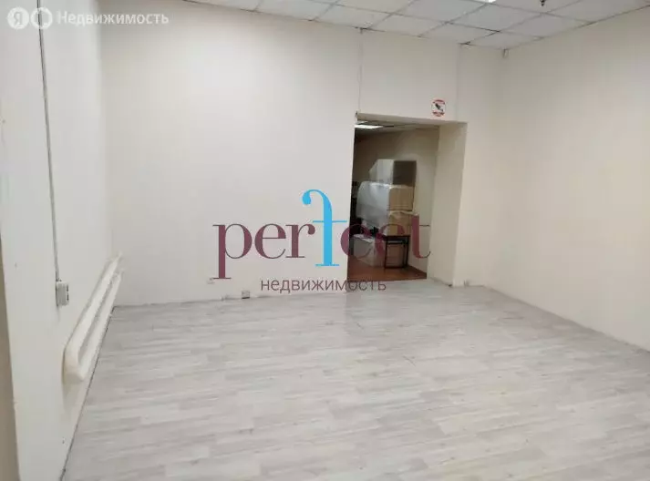 Офис (28.2 м) - Фото 2