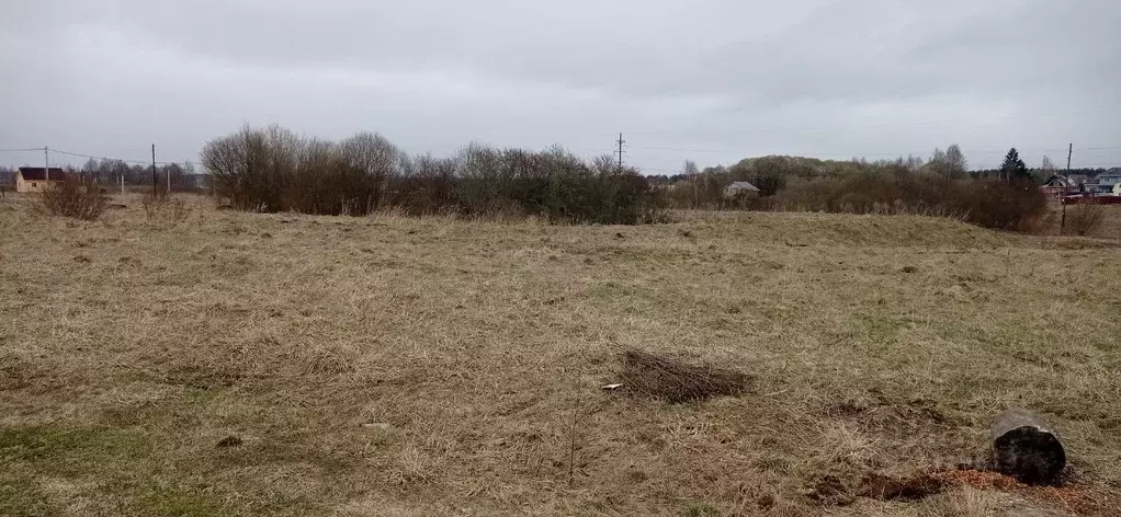 Участок в Московская область, Талдомский городской округ, с. ... - Фото 1