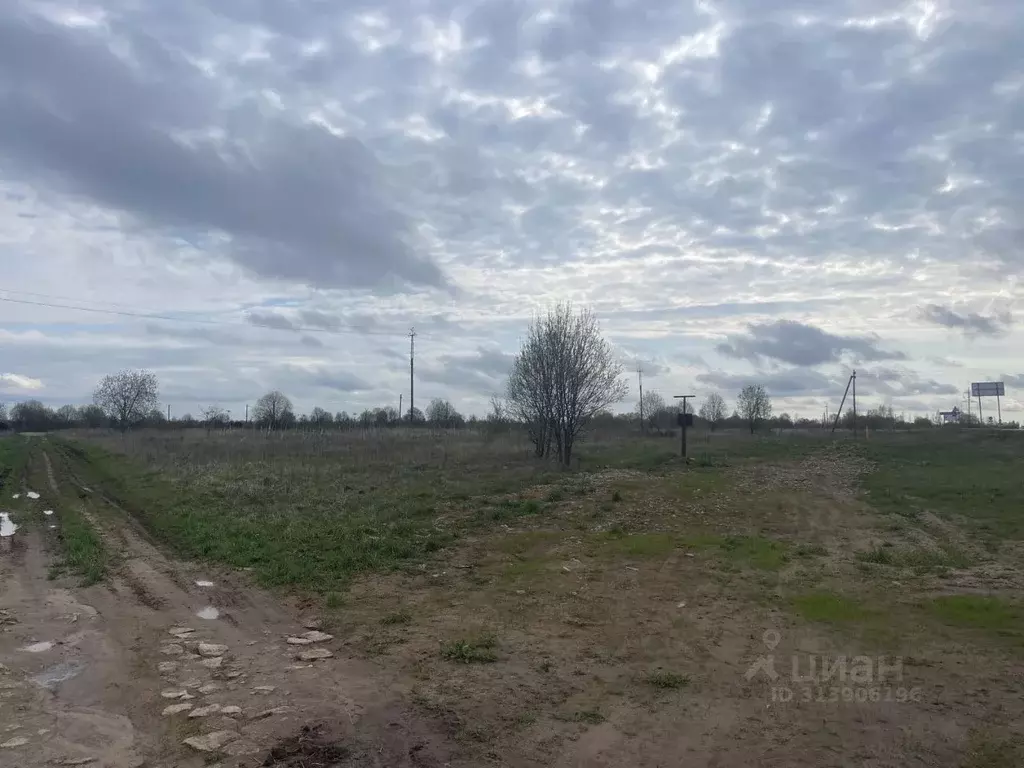 Участок в Псковская область, Псковский район, Логозовская волость  ... - Фото 1
