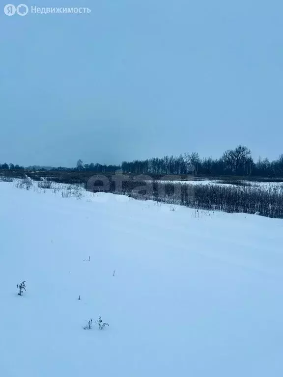 Участок в Калининградская область, Гвардейский муниципальный округ, ... - Фото 2