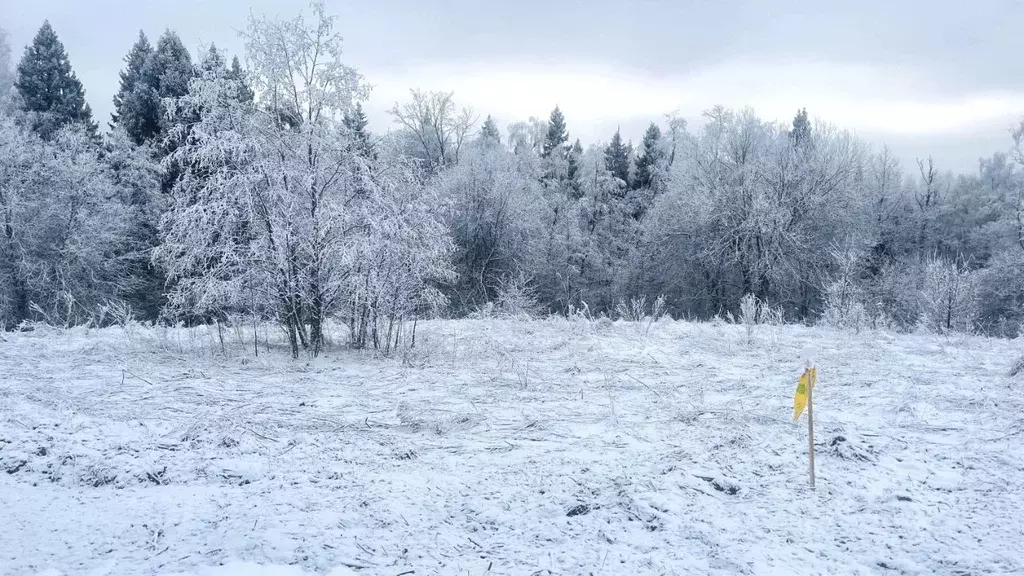 Участок в Московская область, Дмитровский муниципальный округ, д. ... - Фото 1