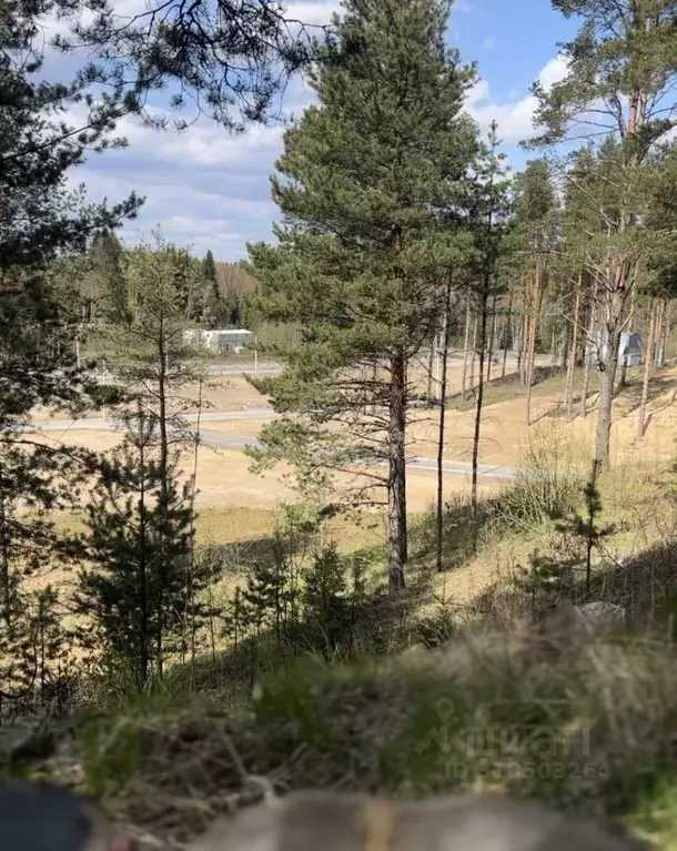 Участок в Ленинградская область, Всеволожский район, Бугровское ... - Фото 0