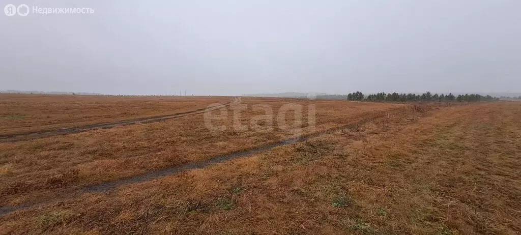 Участок в Огневское, улица Согласия (6 м) - Фото 2