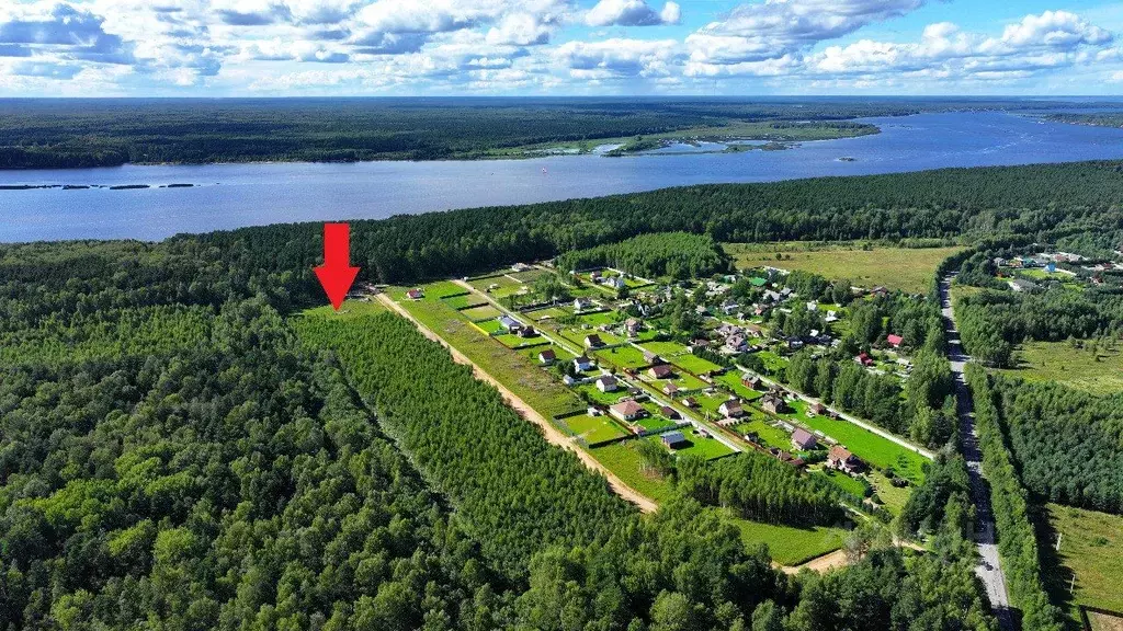 Участок в Ярославская область, Рыбинский муниципальный округ, ... - Фото 1