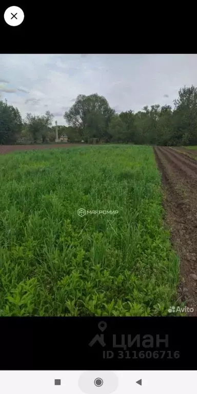 Участок в Орловская область, Орловский район, д. Сухая Орлица ул. ... - Фото 1