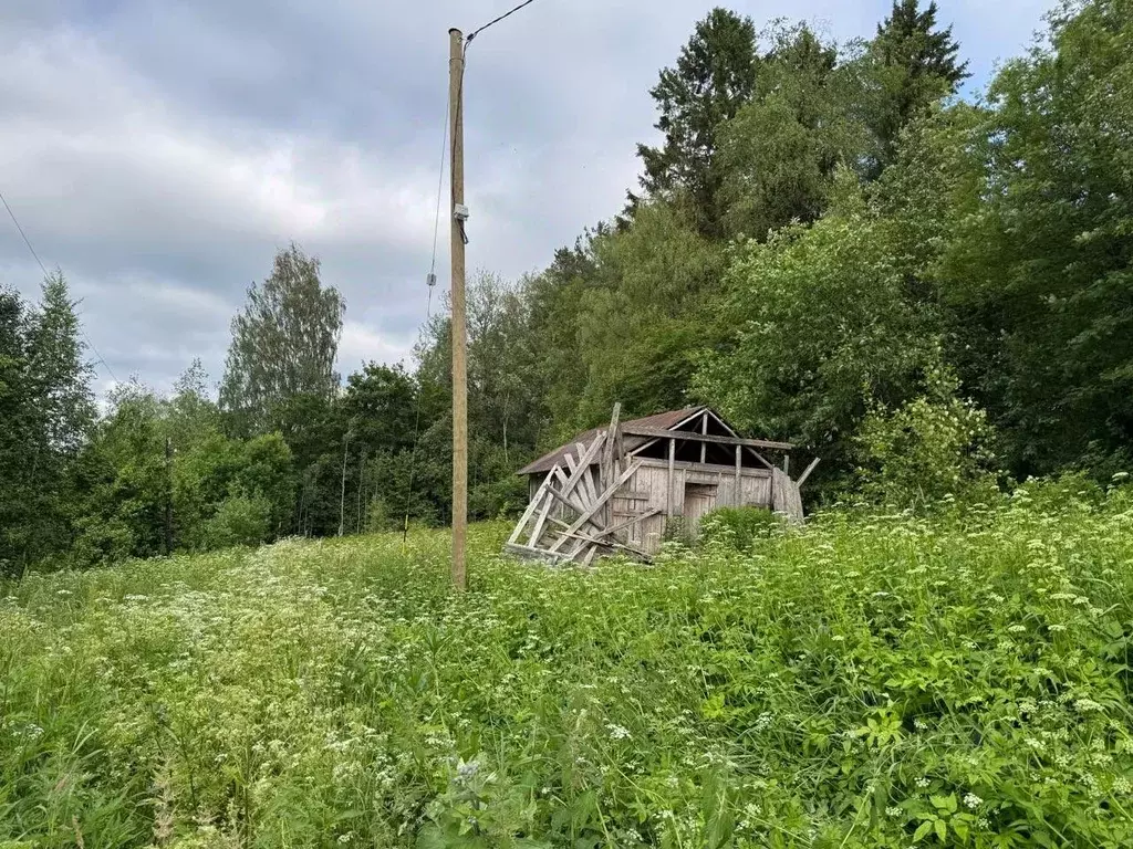 Участок в Карелия, Сортавальский муниципальный округ, пос. Хотинлахти  ... - Фото 1